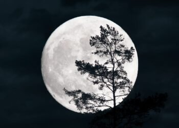 The Potent Karmic Lessons of the Capricorn Full Moon on July 21