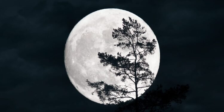 The Potent Karmic Lessons of the Capricorn Full Moon on July 21