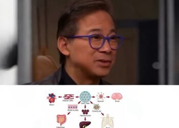 Fact-Checking the Health Claims about Chocolate