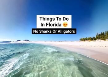 Things to do in Florida