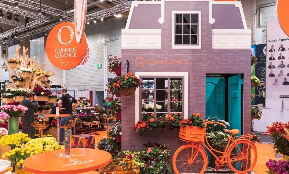 Harrogate Christmas & Gift