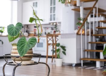 Transform Your Kitchen with the Latest Cabinet Trends from K1 Remodeling in 2024