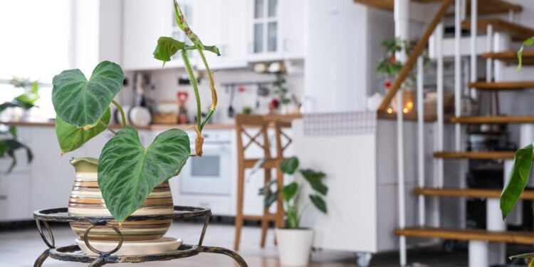 Transform Your Kitchen with the Latest Cabinet Trends from K1 Remodeling in 2024