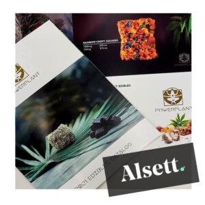 11 x 17 Flyers Bi Fold - Order Now - Fast Delivery