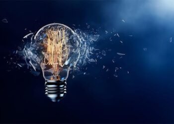 The Brands to Watch in 2025: Innovation and Success Stories