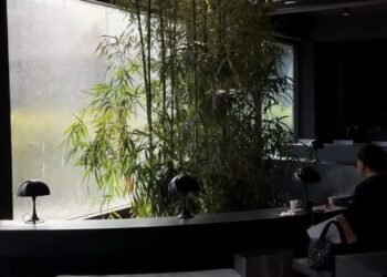 Las Vegas’ First Reign Café Is Set to Open in Early 2025 – Seeking Visionary Investors to Make It Rain