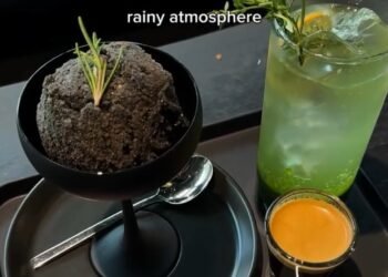 Be Part of History: Invest in Las Vegas’ First Reign Café – A Rain-Themed Experience Like No Other