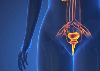 Understanding Women's Anatomy and Sexual Health: Breaking the Myths