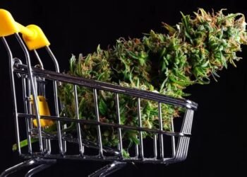 Guide to the Top 20 Dispensaries in Las Vegas