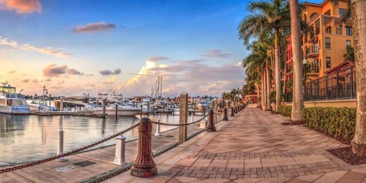 American Association of Orthodontists - AAO Winter Conference Jan 22–24 2027 1 American Association of Orthodontists – AAO Winter Conference Jan 22–24 2027