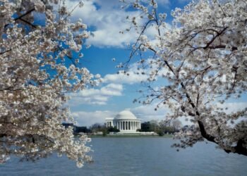 American College of OB & GYN Annual Meeting – ACOG May 1–3 2026