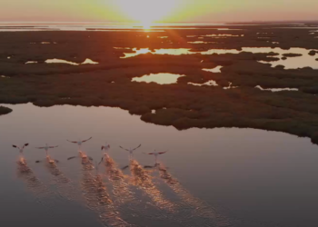 Arabian Travel Market – ATM May 4–7 2026