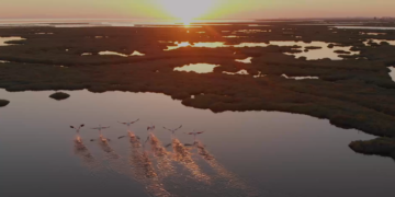 Arabian Travel Market – ATM May 4–7 2026