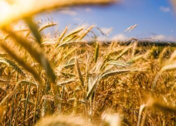 Canada’s Farm Show Mar 17–19 2026