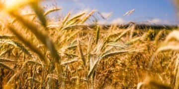 Canada’s Farm Show Mar 17–19 2026