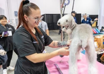 GROOM'D - formerly Atlanta Pet Fair & Conference Mar 13–15 2026 3 GROOM’D – formerly Atlanta Pet Fair & Conference Mar 13–15 2026