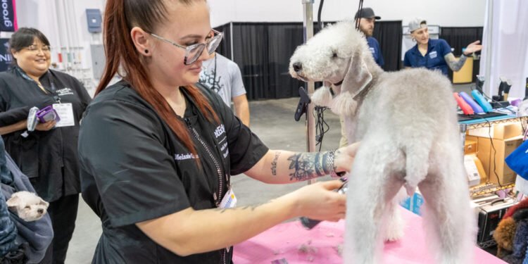 GROOM'D - formerly Atlanta Pet Fair & Conference Mar 13–15 2026 1 GROOM’D – formerly Atlanta Pet Fair & Conference Mar 13–15 2026