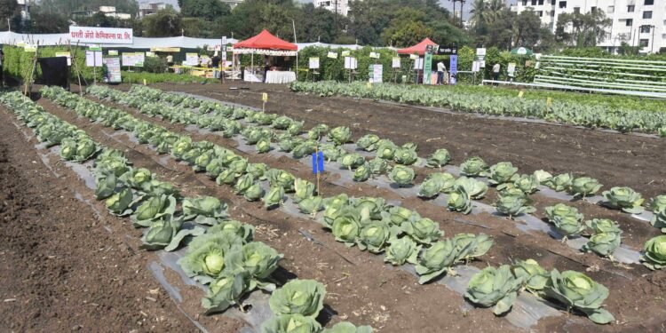 Krishithon Nov 26–30 2026