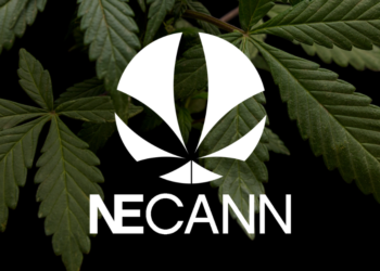 NECANN Cannabis Convention – Apr 17–18 2026