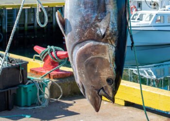 Pacific Marine Expo – Nov 19–21 2026