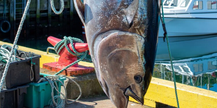 Pacific Marine Expo – Nov 19–21 2026