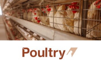 Saudi Agriculture Oct 19–22 2026