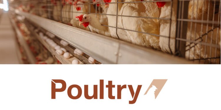 Saudi Agriculture Oct 19–22 2026