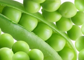 The Brazil Conference – International Fresh Produce Association Aug 4–5 2026