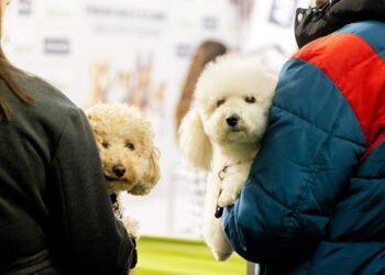 Zootechnia – Int’l Fair for Livestock & Poultry – Jan 28–31 2027